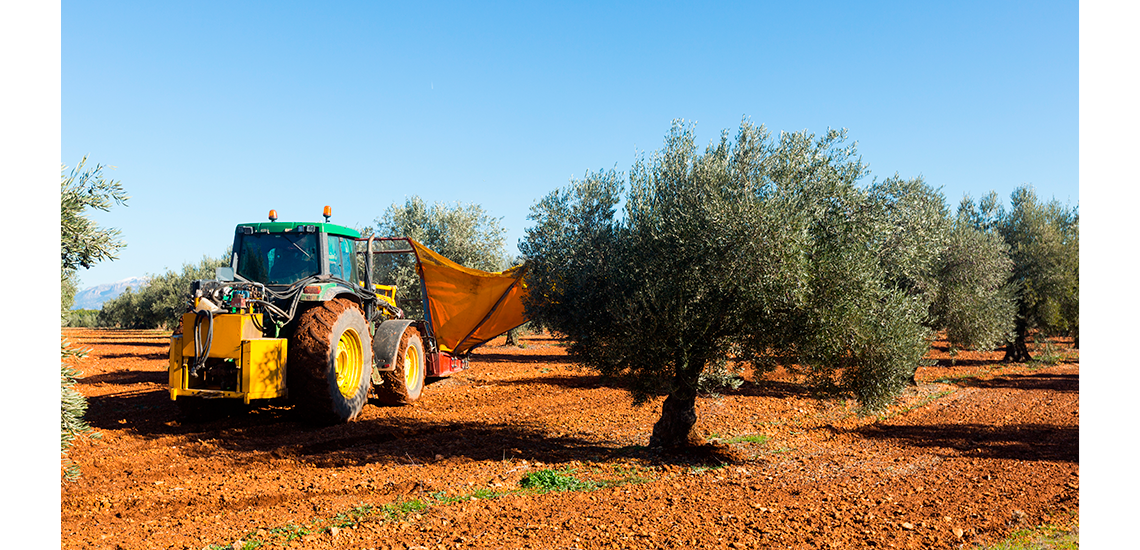Spanish Agricultural Machinery Market