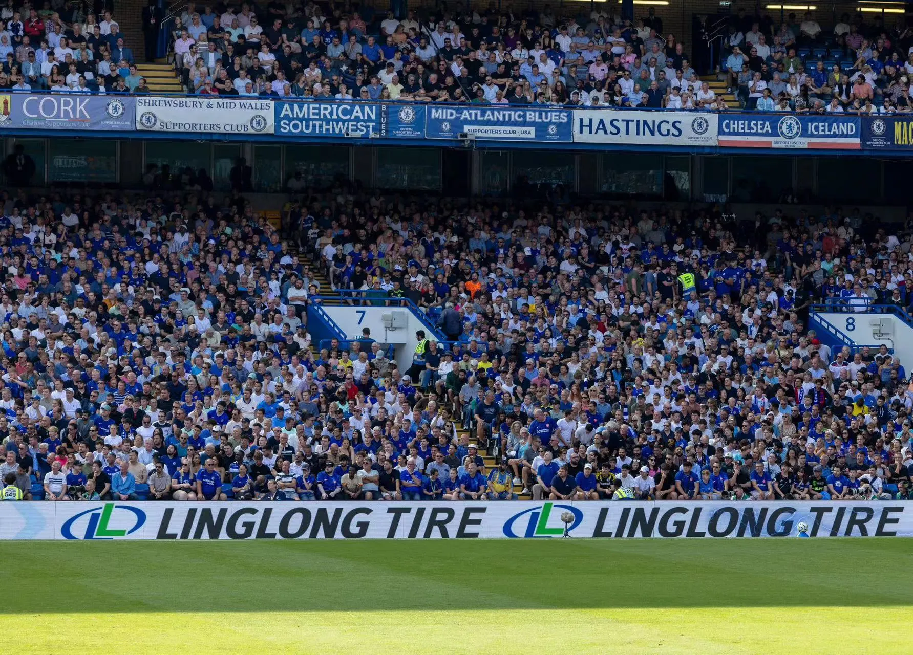linglong chelsea