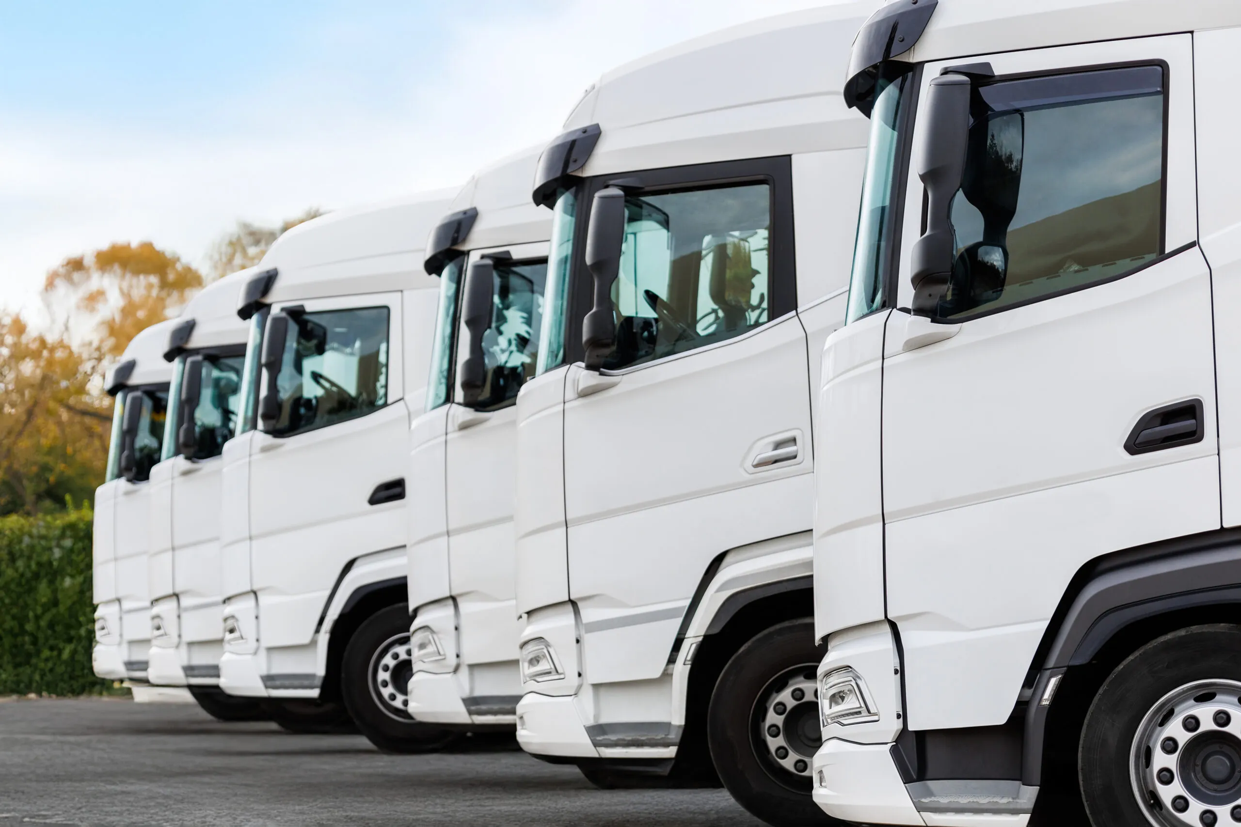 lcv spain